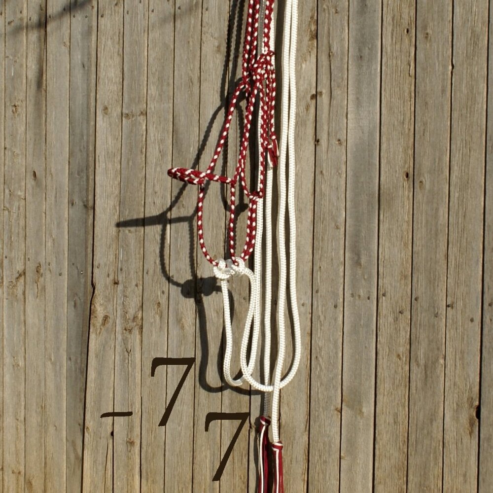 Handmade Braided Paracord Horse Loping Halter Hackamore - Yacht Rope Split Reins - Picture 8 of 9